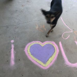 Meet your Posher, Sheila